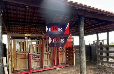 Fazenda à venda no Jardim Alvorada, São Gabriel do Oeste 