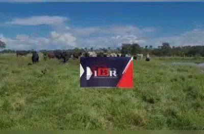 Fazenda à venda na Zona Rural, Alcinópolis 