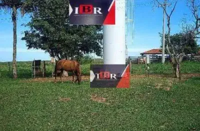 Fazenda à venda na Rua Vasco da Gama, Área Rural de Araçatuba, Araçatuba