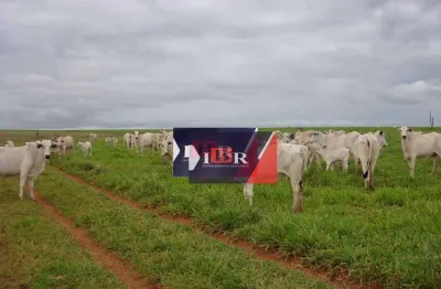Fazenda à venda na Zona Rural, Amambaí 