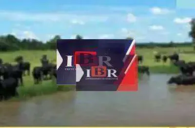 Fazenda à venda na Zona Rural, Santana do Itararé 