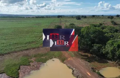 Fazenda à venda na Zona Rural, Pedro Gomes 