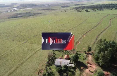 Fazenda à venda na Zona Rural, Amambaí 