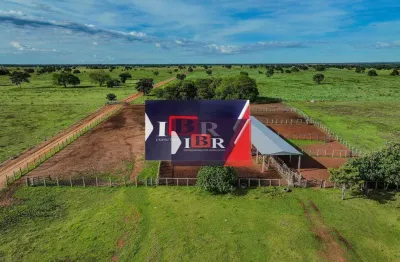 Fazenda à venda na Zona Rural, São Félix do Araguaia 