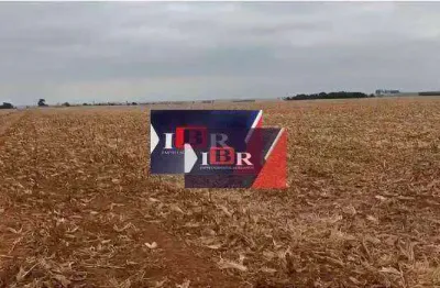 Fazenda à venda na Zona Rural, Amambaí 