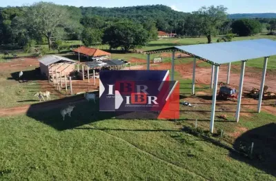 Fazenda à venda na Zona Rural, Pedro Gomes 