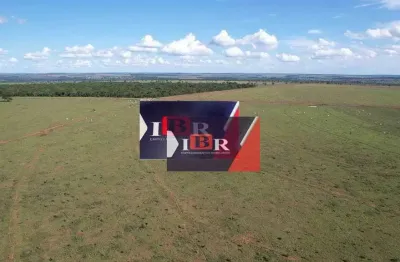 Fazenda à venda na Zona Rural, Chapadão do Sul 