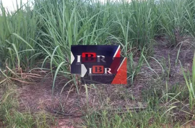 Fazenda à venda na Praça Rosendo Fernandes, Garcia, Lins