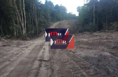 Fazenda à venda na Zona Rural, Sapezal 