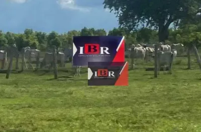 Fazenda à venda na Zona Rural, Corguinho 