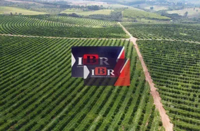 Fazenda à venda na Avenida Espanha, Área Rural de Avaré, Avaré