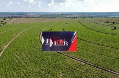 Fazenda à venda na Zona Rural, Coxim 