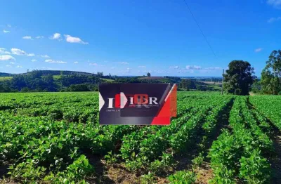 Chácara / sítio à venda na Rua Rubens Custódio, Área Rural de Itapetininga, Itapetininga