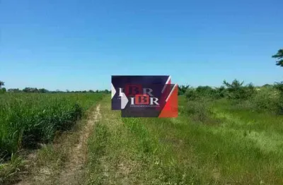 Fazenda à venda na Zona Rural, Água Clara 