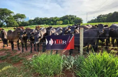Fazenda à venda na Zona Rural, Aparecida do Taboado 