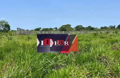 Fazenda à venda na Zona Rural, Cassilândia 