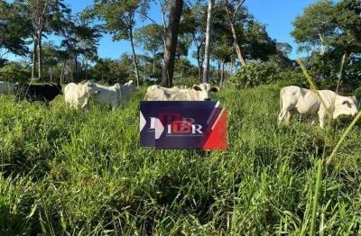 Fazenda à venda na Zona Rural, Alcinópolis 