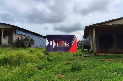 Chácara / sítio à venda no Chácaras Santo Antônio, Pereiras 