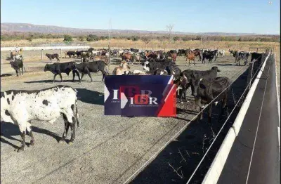 Fazenda à venda no Vivendas Paraíso, Águas Lindas de Goiás 