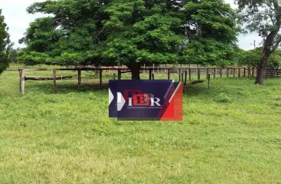 Fazenda à venda na Zona Rural, Figueirão 