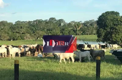 Fazenda à venda na Zona Rural, Juara 