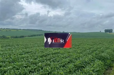 Fazenda à venda no Centro, Itaporanga 