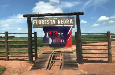 Fazenda à venda no Jardim Carimbo, Sete Quedas 