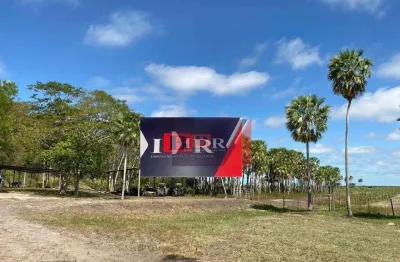 Fazenda à venda na Alameda Recreio, Área Rural de Corumbá, Corumbá