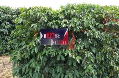 Fazenda à venda na Zona Rural, Piumhi 