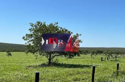 Fazenda à venda na Zona Rural, Reserva do Cabaçal 