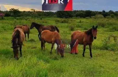 Chácara / sítio à venda na Rua Professor Armando Rizzo, Área Rural de Sorocaba, Sorocaba