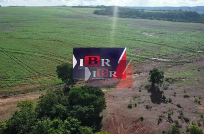 Fazenda à venda na Zona Rural, Pedro Gomes 