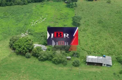 Fazenda à venda em Zona Rural, Alta Floresta 