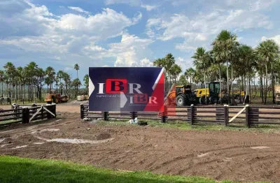 Fazenda à venda no Centro, Porto Murtinho 