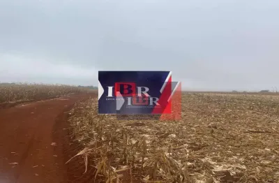 Fazenda à venda na Área Rural, Área Rural de Ponta Porã, Ponta Porã