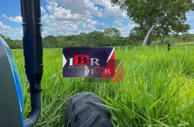 Fazenda à venda na Zona Rural, Dois Irmãos do Buriti 