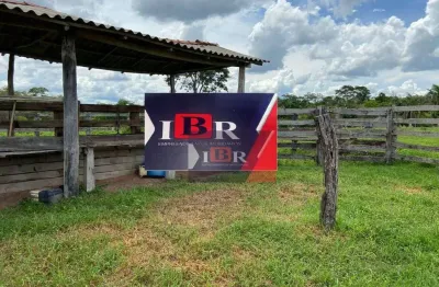 Fazenda à venda na Zona Rural, Camapuã 