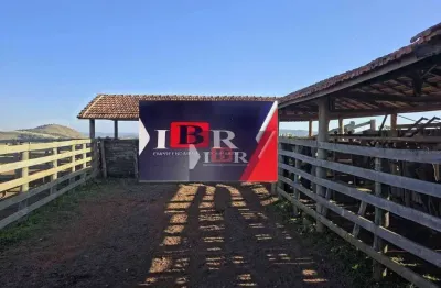 Fazenda à venda na Avenida Adhemar de Barros, Área Rural de Capão Bonito, Capão Bonito