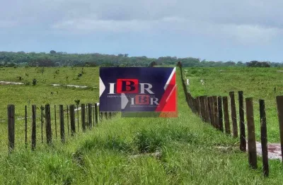 Fazenda à venda na Zona Rural, Aparecida do Taboado 