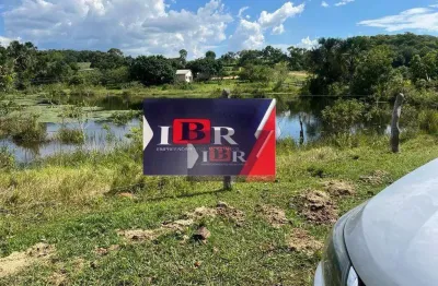 Fazenda à venda na Zona Rural, Figueirão 