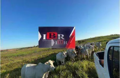 Fazenda à venda na Alameda Luiz Carlos Krasucki, Parque do Povo, Presidente Prudente