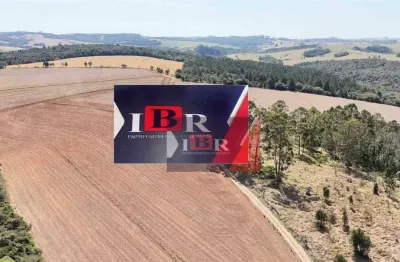 Fazenda à venda na Vila Xisto, São Miguel Arcanjo 