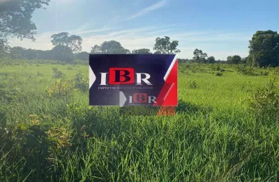 Fazenda à venda na Avenida Antônio Trajano dos Santos, Área Rural de Três Lagoas, Três Lagoas