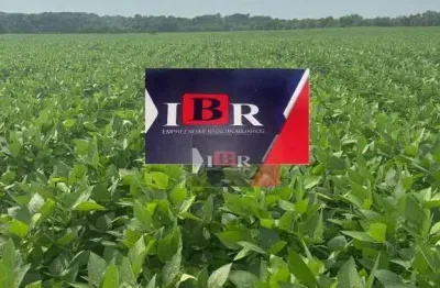 Fazenda à venda na Zona Rural, Dois Irmãos do Tocantins 