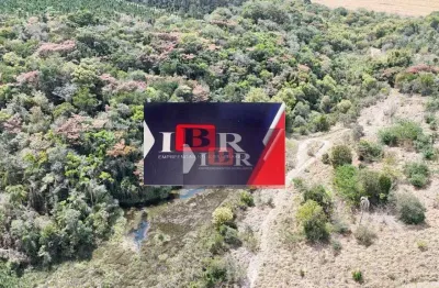 Fazenda à venda na Rodovia Aristides da Costa Barros, Área Rural de Itapetininga, Itapetininga