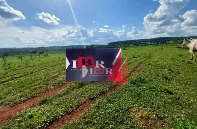 Fazenda à venda no Centro, Costa Rica 