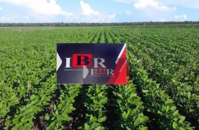 Fazenda à venda na Zona Rural, Primavera do Leste 