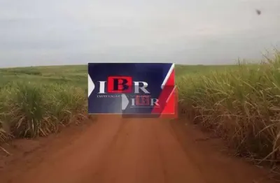 Fazenda à venda na Avenida Abrão Buchalla, Área Rural de Araçatuba, Araçatuba