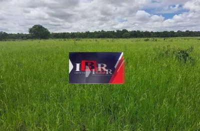 Fazenda à venda na Zona Rural, Rochedo 