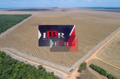 Fazenda à venda na Zona Rural, Campo Novo do Parecis 